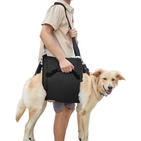 Filiyano-Laisse réglable pour promener un chien blessé (taille XL) (1/5)