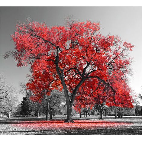 Tableau deco grand arbre rouge - 50x50 cm arbre stylisé de couleur rouge - Tableau deco grand arbre rouge - 50x50 cm arbre stylisé de couleur rouge (1/5)