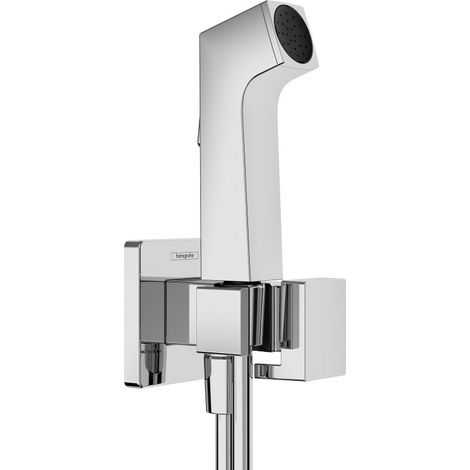 HANSGROHE 29231000 Douchette Bidette E pour eau froide