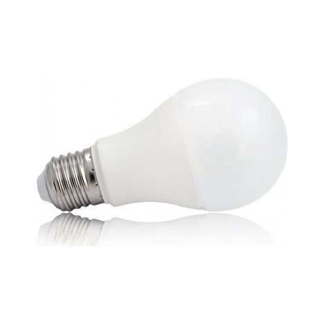Ampoule LED E27 Bulb opale blanc chaud 6W (55W) 3000°K (1/2)