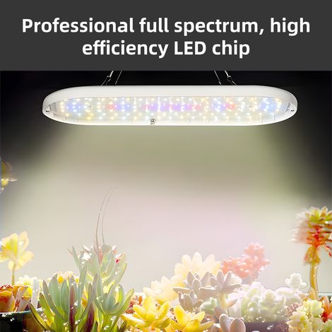 Lampe de culture LED à spectre complet 10 W, minuterie 2H/4H/8H, 4 niveaux d'intensité variable, lumières pour plantes d'intérieur, semis de fleurs, légumes, poivre, lampes de culture suspendues