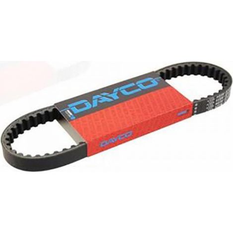 dayco Antriebsriemen für Roller malaguti 50 f10 2008 880201 neu (1/2)