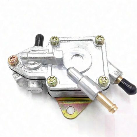 Pompe à carburant pour quads Linhai Buyang 260CC et 300CC (1/5)