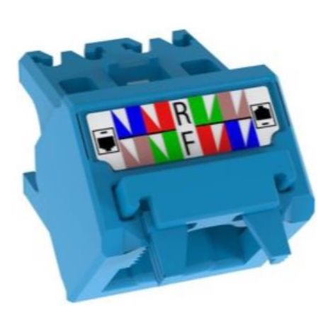 CAT6A UP/DOWN 45 DEGREE TG PACK 10