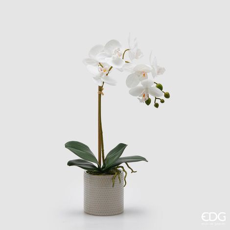 EDG Enzo De Gasperi Orchidea Phalaenopsis con Foglie e Vaso H 47 Cm Pianta Artificiale Bianco