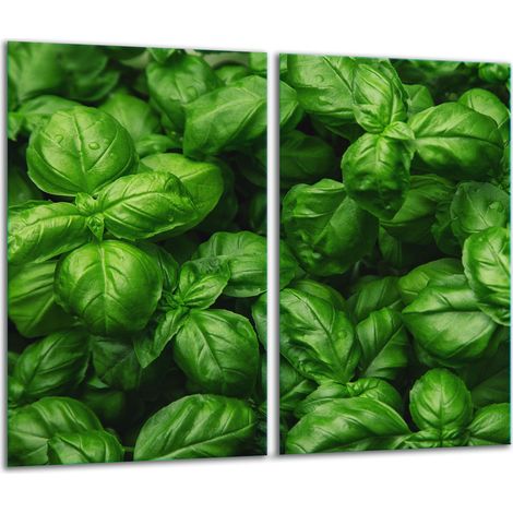 Tagliere in vetro 2x 30x52 verde (1/5)