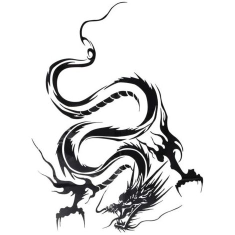 Autocollant graphique en vinyle pour capot de voiture, autocollant Dragon noir réfléchissant pour sports mécaniques, noir