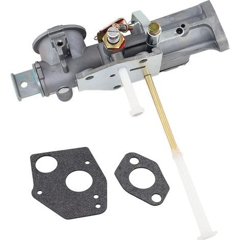 Carburatore con guarnizione per Briggs & Stratton Pulsa-Jet 299437, falciatrice a barra Agria 5300, Tielbürger T75, inerti, tosaerba a spinta, pompe dell'acqua (1/5)