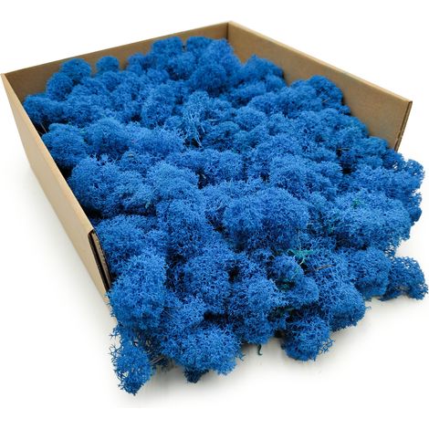 Muschio di renna - finlandese - pulito - blu - 250 g netti