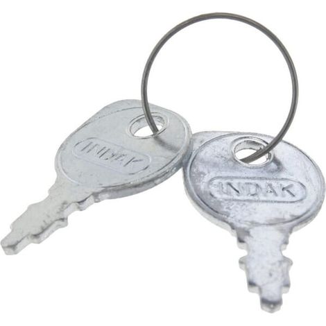 Zündschlüsselsatz (2x) AGRIA AGW53864