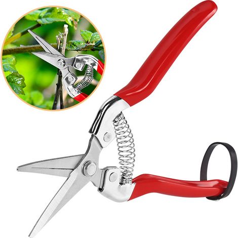 Sécateur pour le jardinage (1/3)