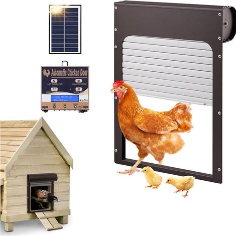 Puerta automática para gallinero – Estructura de aleación de hierro y aluminio – Funciona con pilas o energía solar – Temporizador integrado -Crezuo
