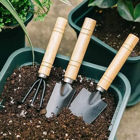 Ensemble de 3 mini-outils de jardin (manche épais, 3 pièces) pour plantes, pots de fleurs, cactus, légumes, bêchage, désherbage et petites plantes d'intérieur. (1/5)