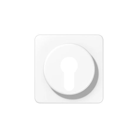 Jung Tapa para interruptor de llave con protección antirrobo 1 vía, termoplástico, serie CD, blanco alpino CD 528 WW