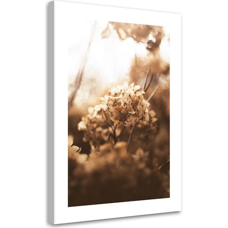 Tableau sur toile Hortensia flétri au coucher du soleil 70x100 (1/5)