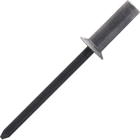 500 rivets aveugles étanches alu/acier TF, D. 4.8 x 9 mm - WAK4809-BC - Scell-it (1/4)