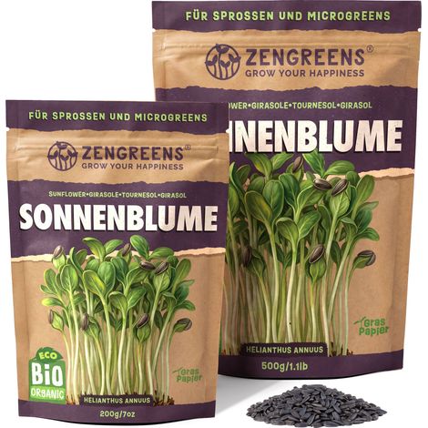 Bio Keimsaat Sonnenblume 200 g Sprossen und Microgreens ZenGreens (1/5)