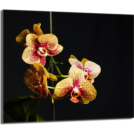 Glasschutzplatte für den Herd 60x52 Orchidea (1/5)