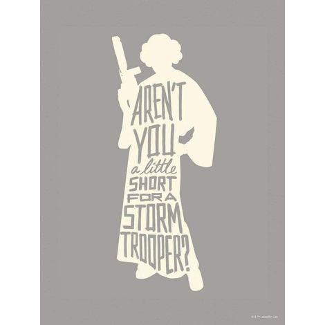 Poster d'Art Star Wars Silhouette Princesse Leia et Citations - 30 x 40 cm (1/3)