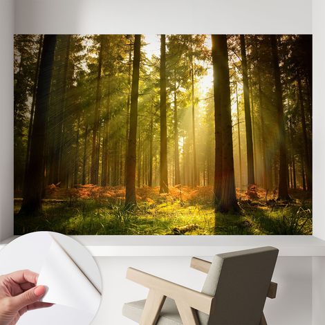 Tapete Selbstklebend - Wandtapete modern - Tapete mit Motiv - Tapete Schlafzimmer Waldmorgen 104x70 cm (1/5)