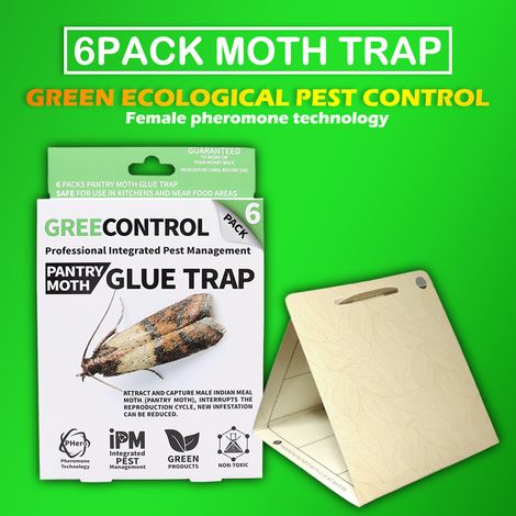Pièges à guêpes, frelons et mouches réutilisables, pièges à mites domestiques non toxiques et écologiques (1/4)