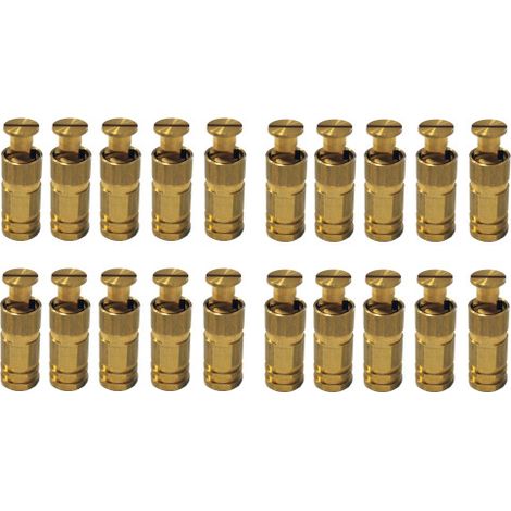 Piton Douille Escamotable - Pour fixation bâche couverture de piscine sur plage béton ou dallage - Alu/Inox - Lot de 20 pièces - POOLCO (1/5)