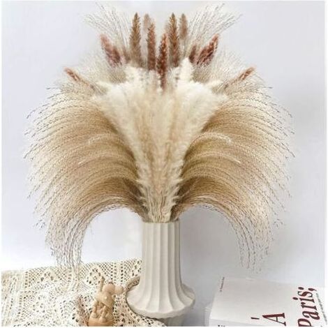 Décoration d'herbe de Pampa séchée, 90 PCS d'herbe de Pampa Contenant des Fleurs séchées de Queue de Lapin, Bouquet d'herbe de Roseau pour décoration de Table bohème de Mariage à la Maison (1/5)