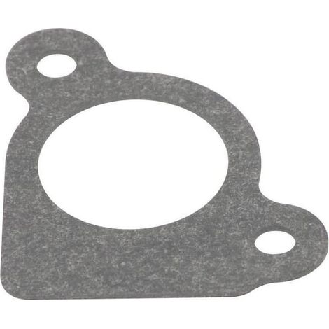 Einlassdichtung Briggs und Stratton - 794306