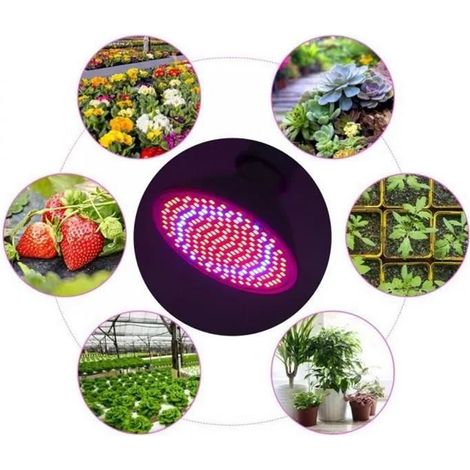 Projecteur LED 200 LED pour plantes - Éclairage horticole - Serre, Jardin - Économie d'énergie-AquaForge