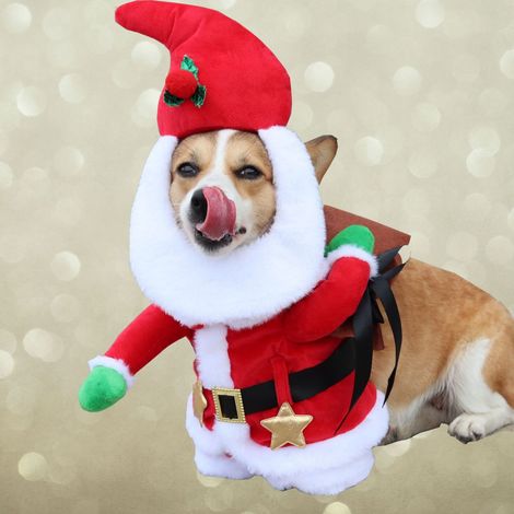Costume De Noel Pour Animal - Costume Homme Barbu 31 Cm - Pour Chien Et Chat - 1 Pièce (1/5)