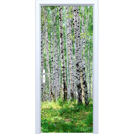 Adhesivo de tela para puerta con diseño de bosque de abedules 876PD