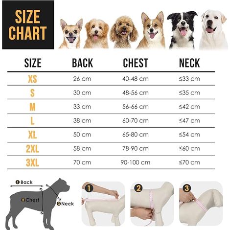 Imperméable pour Chien, Veste de Pluie Double Couche à Capuche Transparente pour Chiens, Chiens Poncho pour Chien avec Bande réfléchissante (1/4)