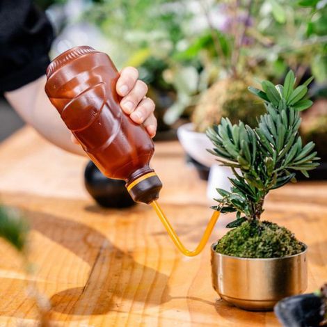 450ml Arrosoir Plante Interieur,Petit Arroseur Bonsai,Peut être Inversé pour l'Arrosage,Convient aux Semis et aux Plantes Délicates (1/5)