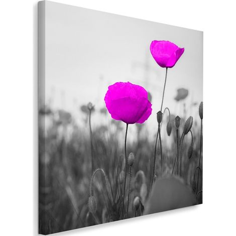 Cadre déco Champ de coquelicots lilas 40x40 (1/5)