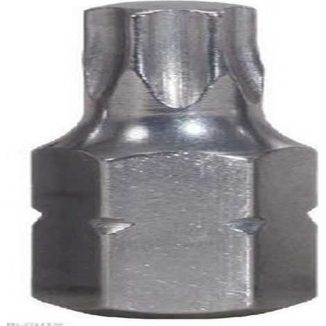 Lot de 5 embouts en inox pour tournevis TORX T40 25 mm (1/2)