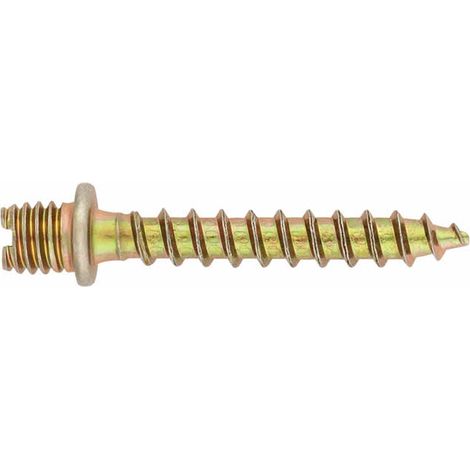 100 pattes à vis pour collier Bichromaté M6 x 50 mm - ABTAB0650 - Index (1/3)