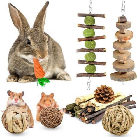 Lot de 10 jouets à mâcher pour hamster - En bois naturel - Pour petits animaux - Pour soins dentaires - Pour chinchilla, lapin, cochon d'Inde