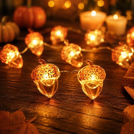 Guirlande LED glands 2 m – 20 lumières à piles pour décoration d’automne, fêtes, Noël, mariage et anniversaire (1/5)