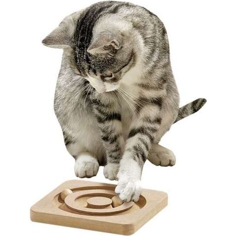 K Kitty Toy Broken Intelligence, 19 x 19cm Una-Cara (1/2)