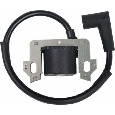 Modulo bobina di accensione compatibile con Honda GCV135 GCV160 GCV190 GSV160- (1/4)