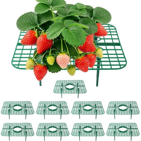 10 - Support Pour Plants De Fraises - Grille Carrée De Jardin - Maintient Les Fruits Hors Du Sol Et Améliore L Aération - Pour Plein (1/5)