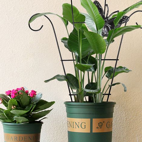 Treillis de jardin en acier inoxydable pour plantes grimpantes, support pour plantes grimpantes (1/5)