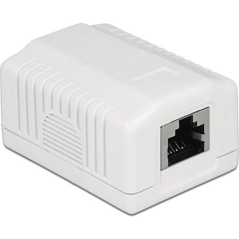 DELOCK 86196 RJ-45 BLANC PRISE DE COURANT (1/4)