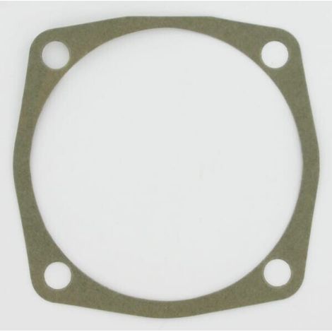 Junta 0.3 mm MASCHIO M01110132R