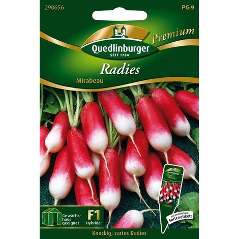 Quedlinburger Radies Mirabeau - Gemüsesamen