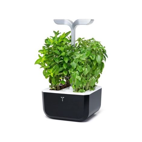 Potager de cuisine - Exky Smart Soft Black - Véritable (1/5)