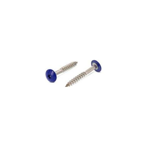 Vis de facade TORX T20 4.8X38 Diamètre de tête: 12.3 Inox A2 RAL5002-10 pièces