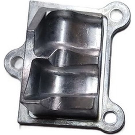 Toma Derecha. Cilindro Motor para desbrozadora comp. con Pnbc450