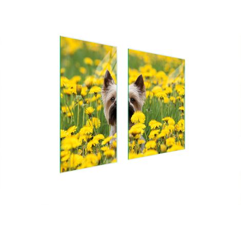GLASSCHUTZPLATTE 75x52 HUND (1/5)