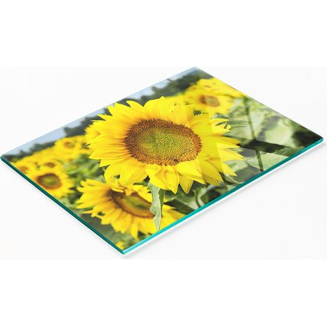 Tableau en verre élégant et résistant avec motif champ de tournesols 80x52 cm (1/5)
